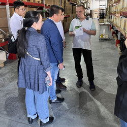 Chinese manufacturers at the Home Electro Systems plant